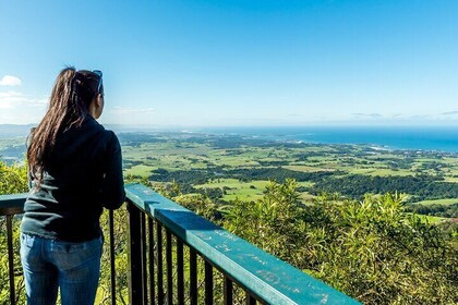 Escape Sydney: Sea Cliff Bridge, Wildlife, Kiama Coast Private