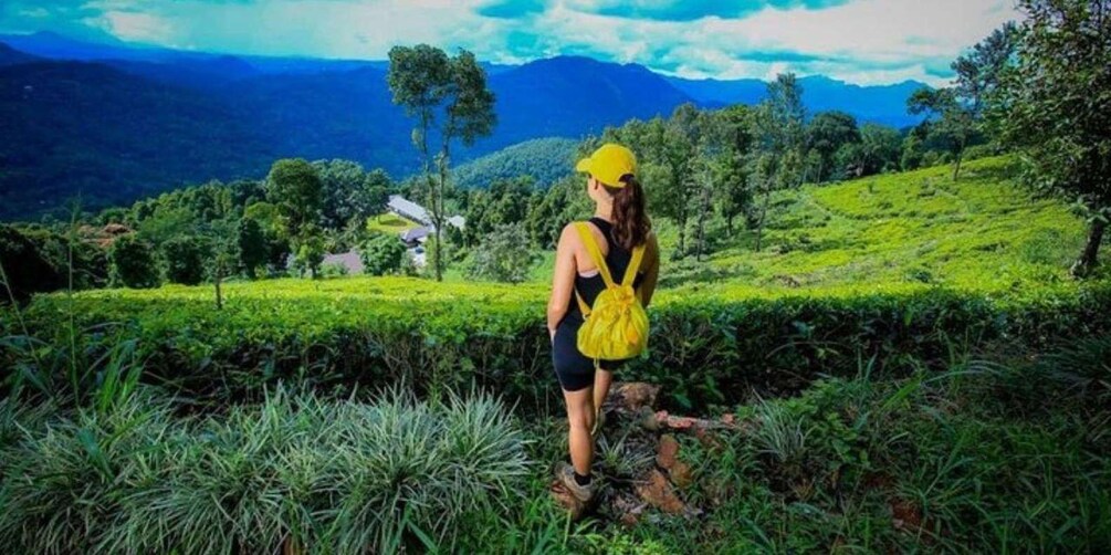 Picture 4 for Activity Kandy: 2 Day All-Inclusive Tea Plantation Adventure!