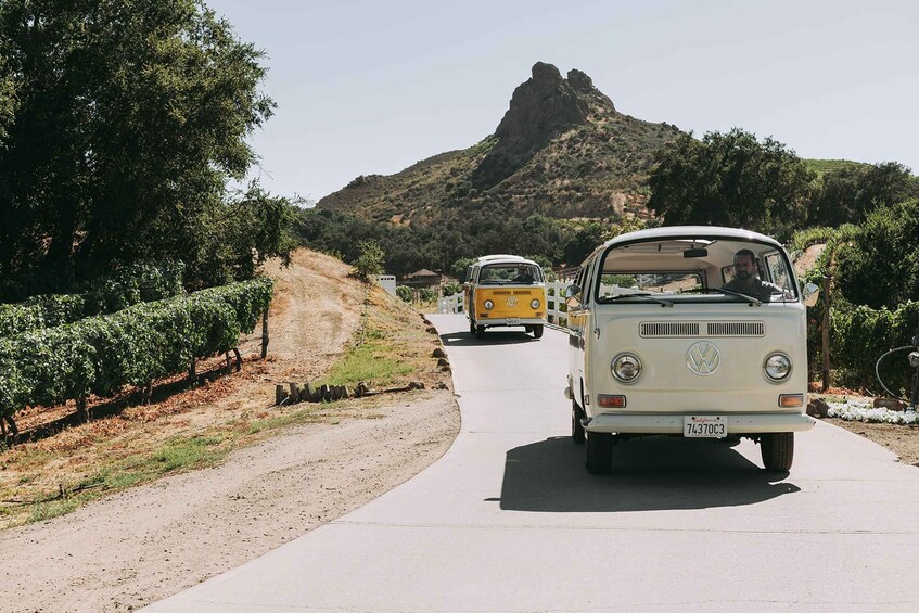 Picture 3 for Activity Los Angeles: Private Vintage VW Bus Tour in Malibu