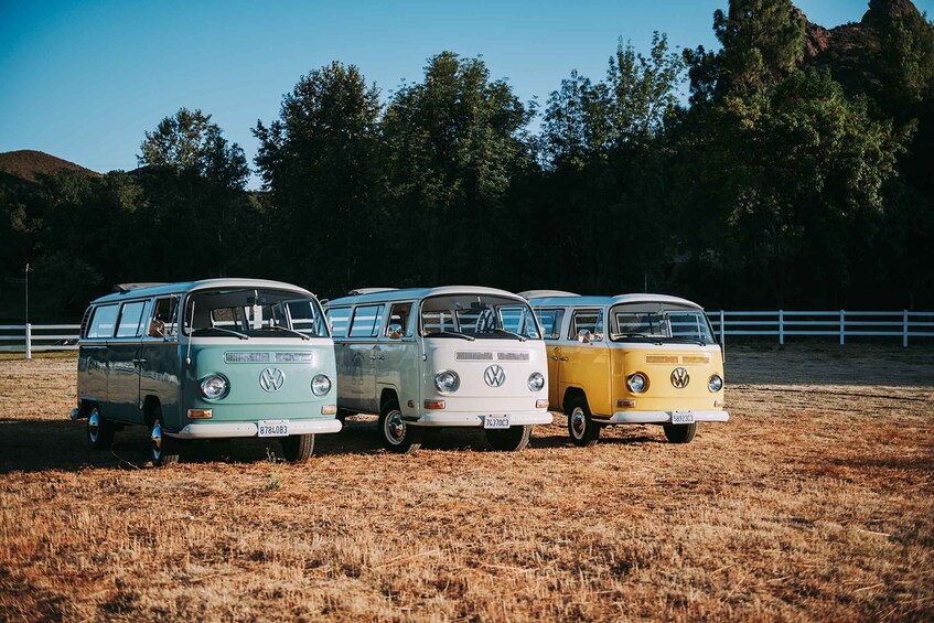 Picture 7 for Activity Los Angeles: Private Vintage VW Bus Tour in Malibu