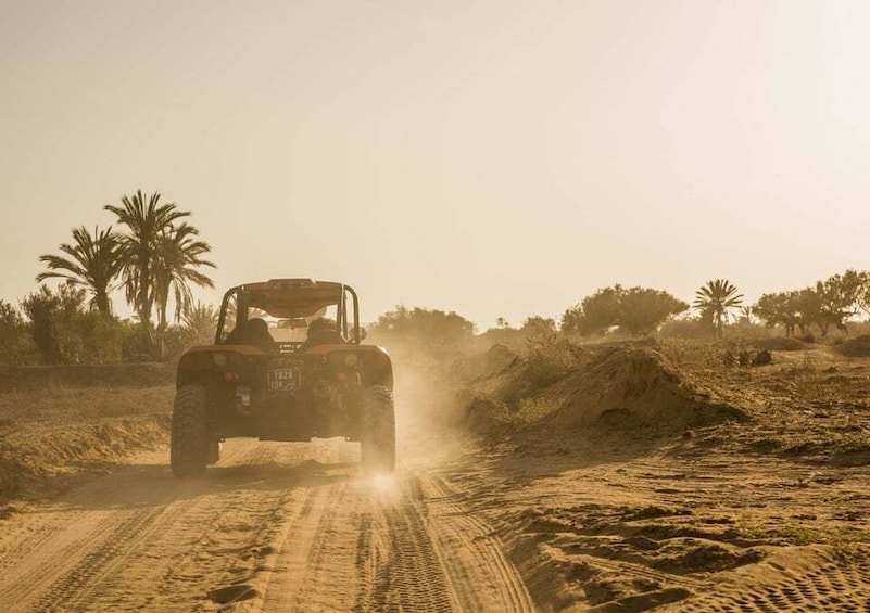 Picture 9 for Activity Djerba 1H30 Buggy Adventure: Unleash the Fun