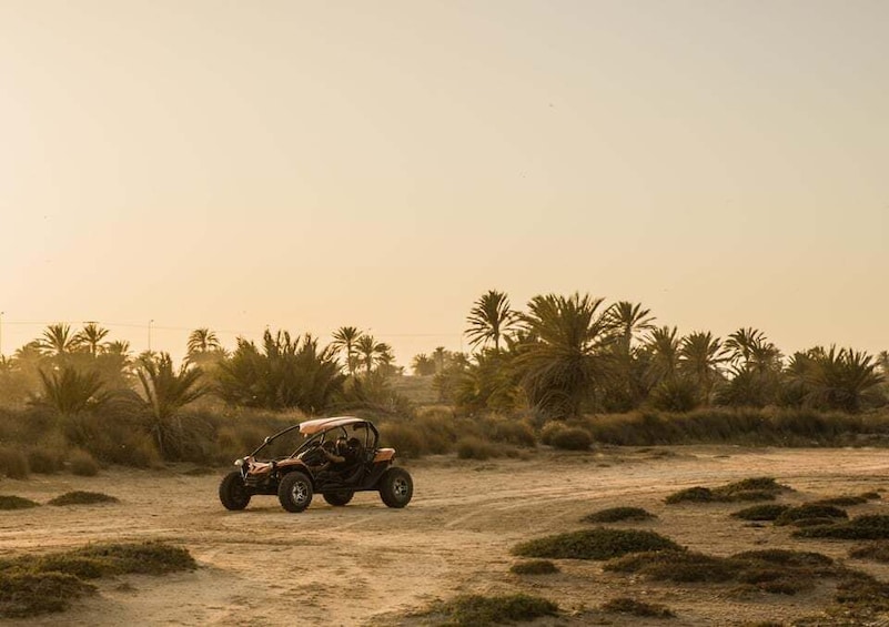 Picture 7 for Activity Djerba 1H30 Buggy Adventure: Unleash the Fun