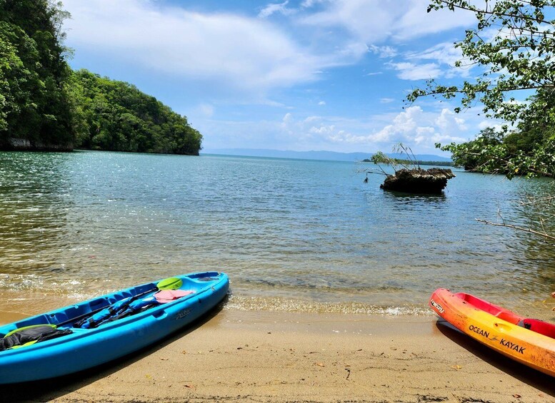 Picture 1 for Activity Sabana de la Mar: Private Los Haitises Hike and Kayak