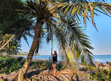 Tour privado: cenotes de Dudu + Playa Grande + mucho más