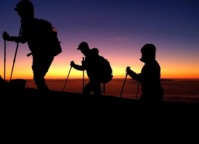 Picture 1 for Activity Tenerife: Teide Peak Hiking 3715m