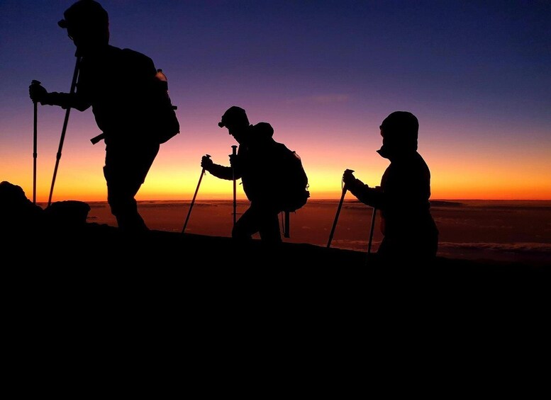 Picture 1 for Activity Tenerife: Teide Peak Hiking 3715m