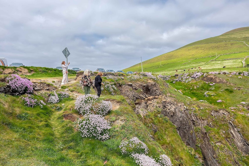 Picture 4 for Activity Private Luxury Full-Day Ring of Kerry Tour from Killarney