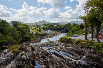 Ring of Kerry & Kerry Cliffs: Private Tour from Killarney