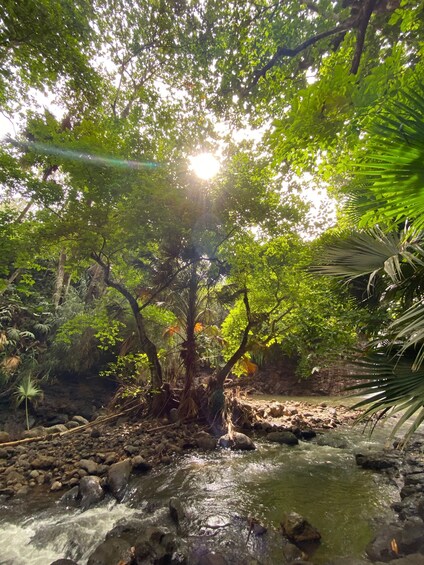 Picture 9 for Activity Mauritius Natirel :Wild south discovery