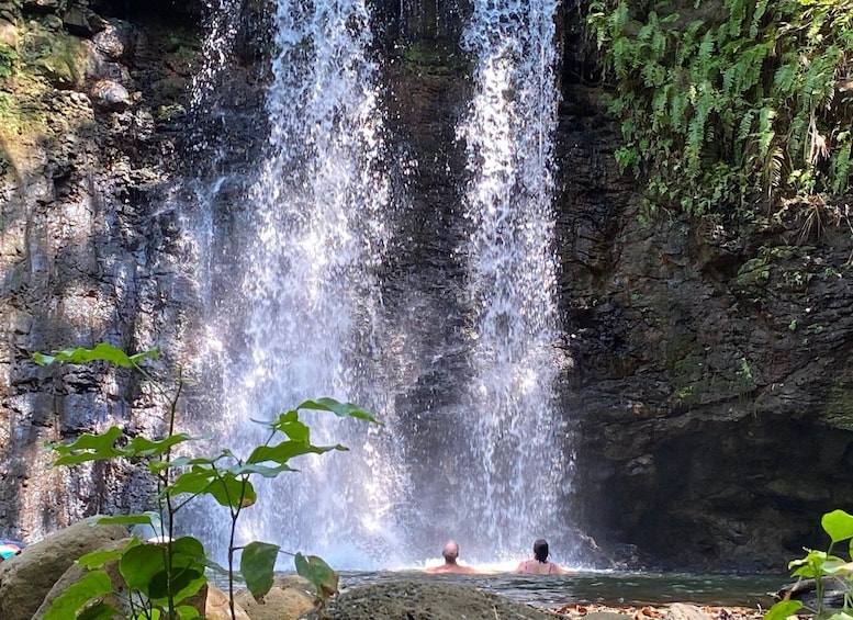 Picture 3 for Activity Mauritius Natirel :Wild south discovery