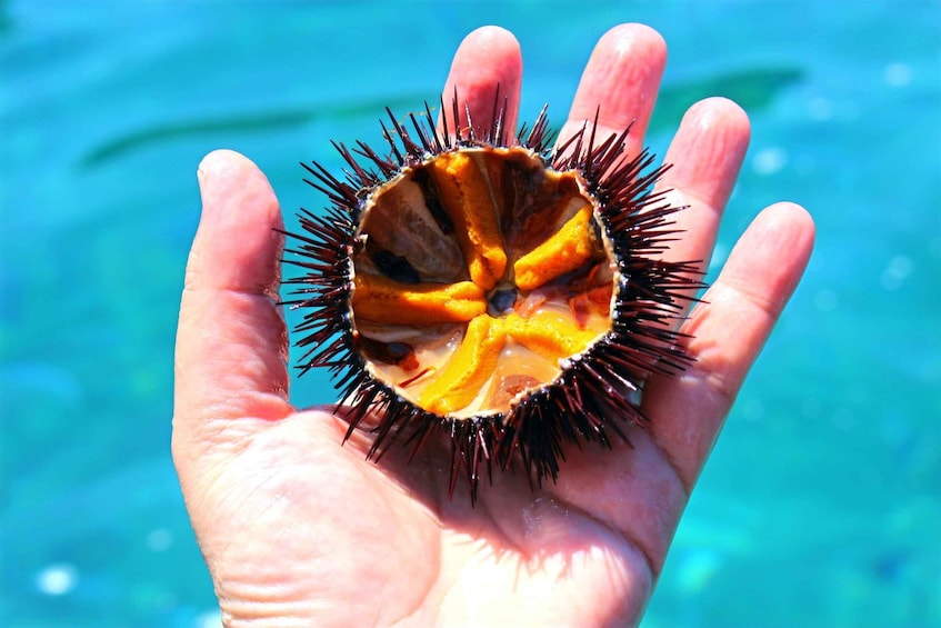 Picture 3 for Activity Tropea: Scoglio delle Sirene Snorkeling Cruise with Aperitif