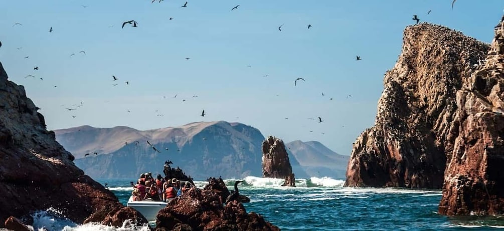 Picture 3 for Activity Excursion to Ballestas Islands and Paracas National Reserve