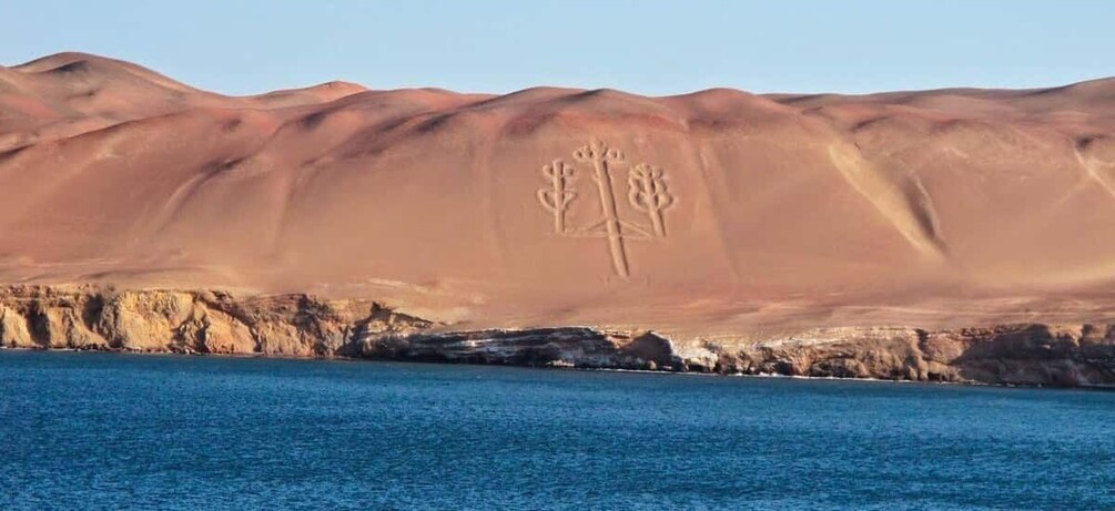 Picture 2 for Activity Excursion to Ballestas Islands and Paracas National Reserve