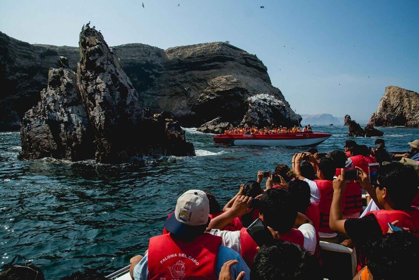 Picture 4 for Activity Excursion to Ballestas Islands and Paracas National Reserve