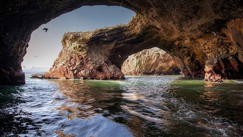 Excursion to Ballestas Islands and Paracas National Reserve