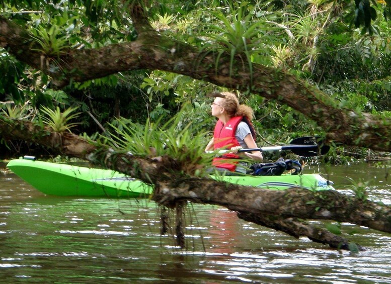 Picture 7 for Activity Uvita - Dominical: Kayak Tour to the Mangroves of Terraba