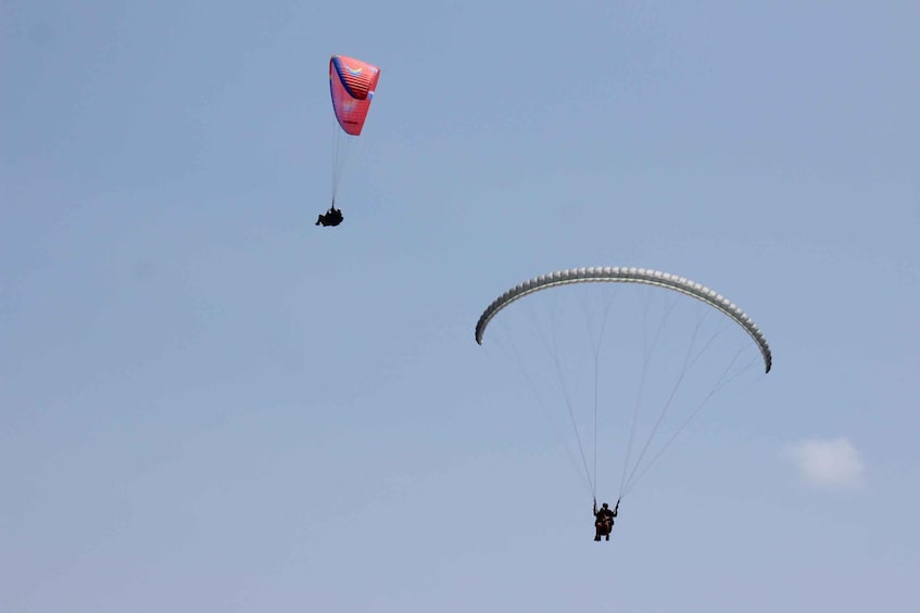 Picture 4 for Activity Las Palmas: tandem paragliding flights for everyone