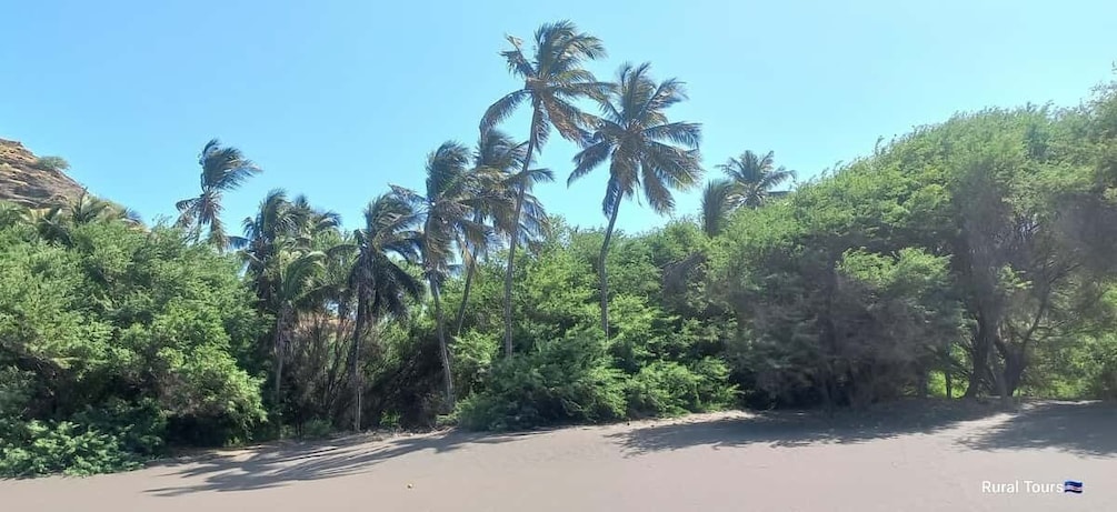 Picture 8 for Activity Discover the Black Sand Beach+the Natural Pool