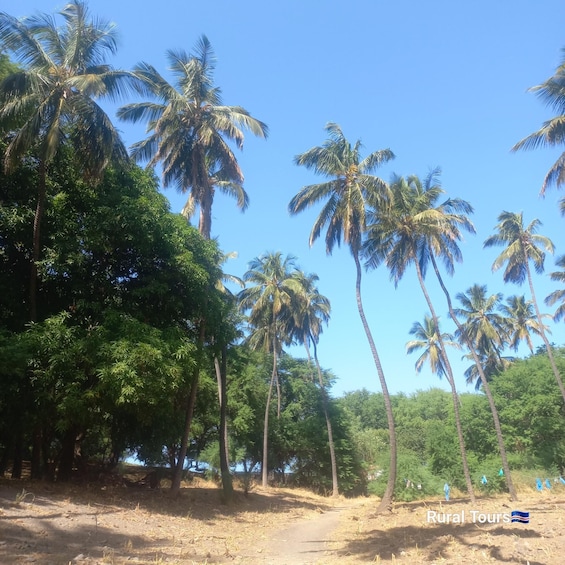 Picture 5 for Activity Discover the Black Sand Beach+the Natural Pool