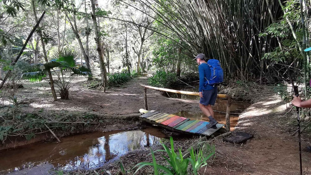 Picture 4 for Activity Ilha Grande all-inclusive 3 Day Private Trekking Experience