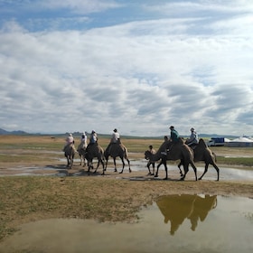 Combination of Mini Gobi Desert and Khangai tour