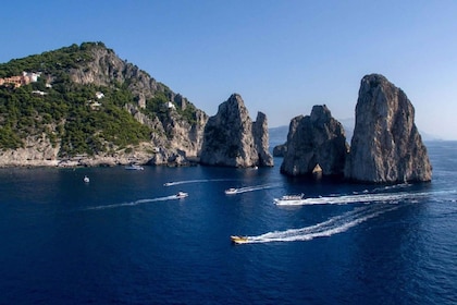 Depuis Naples : Sorrente et Capri : excursion d'une journée par la mer