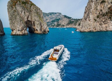 De Naples : Sorrente et Capri excursion d’une journée par la mer