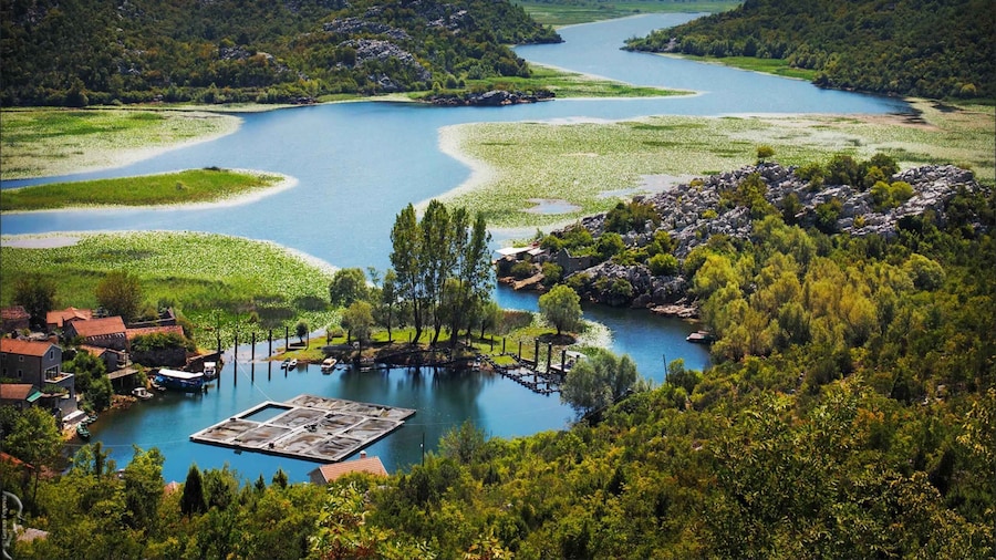 Podgorica Historic, Safari and Winery tour - Skadar lake