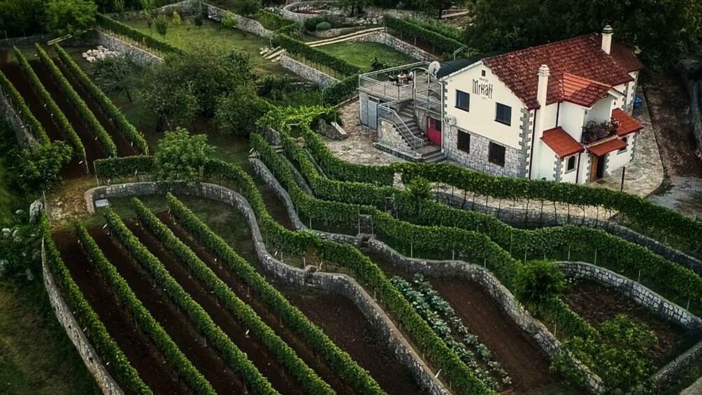 Picture 8 for Activity Podgorica Historic, Safari and Winery tour - Skadar lake