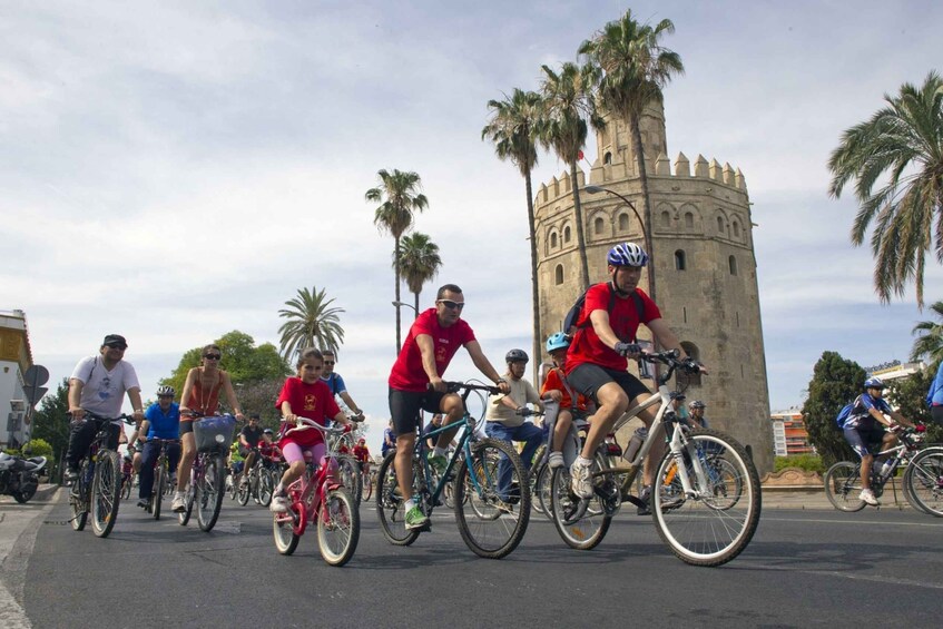 Picture 3 for Activity Seville: Monumental City Bike Tour