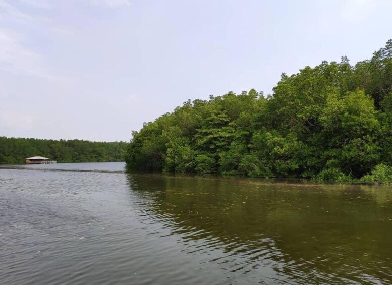 Picture 3 for Activity From Desaru Coast: Sungai Lebam River Cruise with Pickup