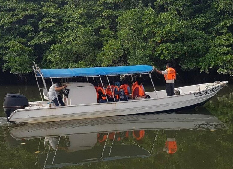 Picture 2 for Activity From Desaru Coast: Sungai Lebam River Cruise with Pickup