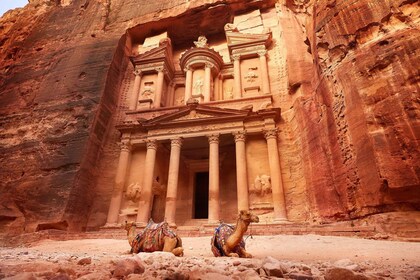 4-Days Private tour : Jerash,Amman,Petra,Wadi-rum& Dead-sea.