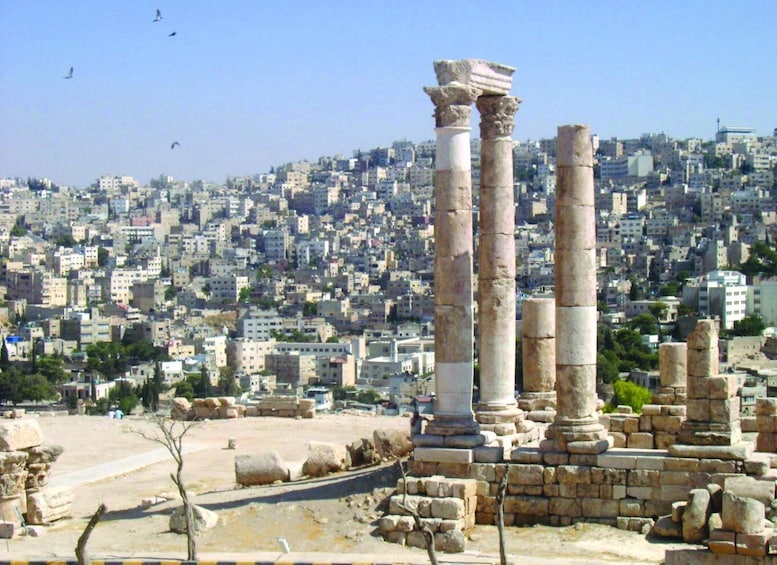 Picture 6 for Activity 4-Days Private tour : Jerash,Amman,Petra,Wadi-rum& Dead-sea.