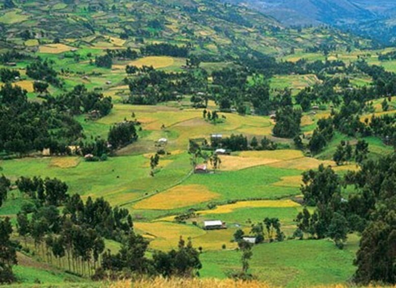 Picture 3 for Activity From Cajamarca: Porcón and Otuzco