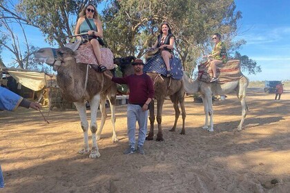 Camel Ride and Barbecue Tour in Agadir