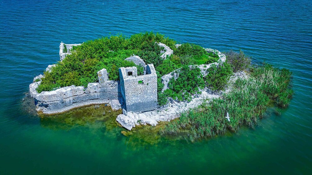 Picture 10 for Activity Skadar Lake Virpazar : Speed Boat Special !