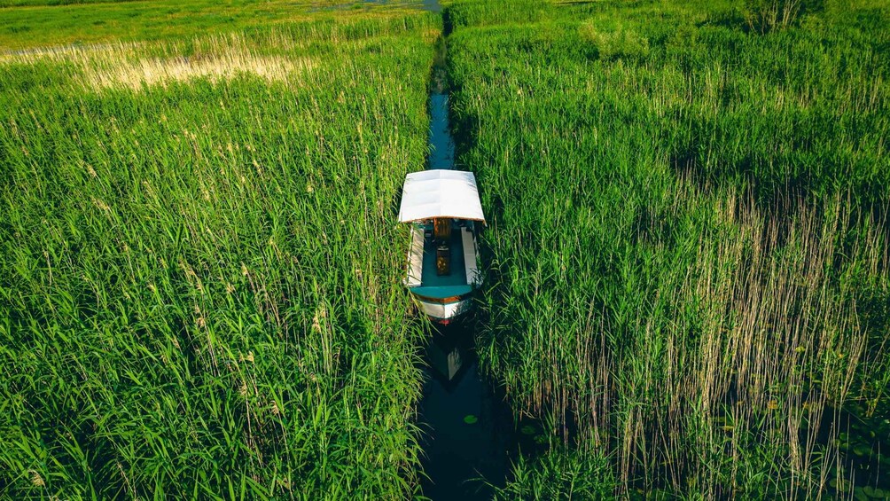 Picture 6 for Activity Skadar Lake Virpazar : Speed Boat Special !