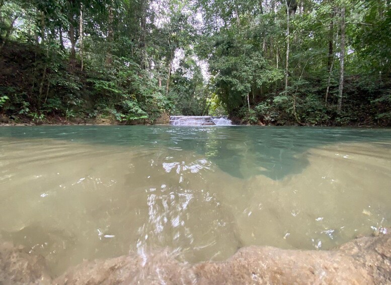 Picture 4 for Activity Desde Palenque: Rafting, Caminata en Selva Y Bonampak