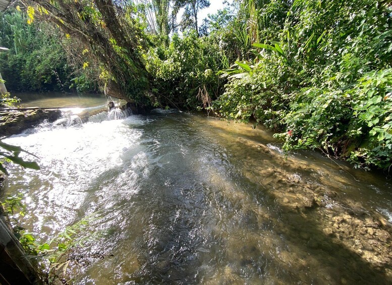 Picture 5 for Activity Desde Palenque: Rafting, Caminata en Selva Y Bonampak