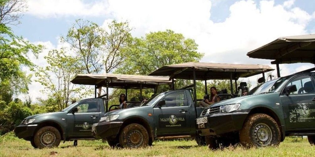 Picture 6 for Activity Wilpattu Wildlife Adventure: Day Safari with Picnic Meals