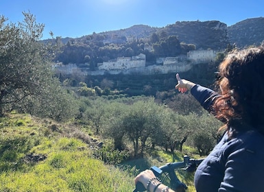 Aix-en-Provencesta: Luberon Region E-Bike kokopäiväretki