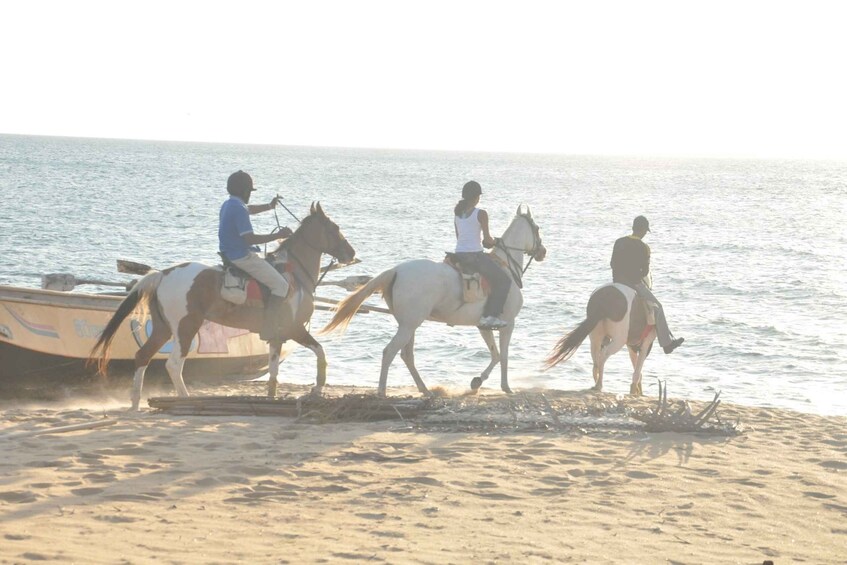 Picture 2 for Activity Half-Day Horse Riding in Kalpitiya