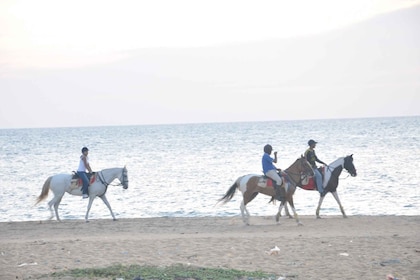 Half-Day Horse Riding in Kalpitiya