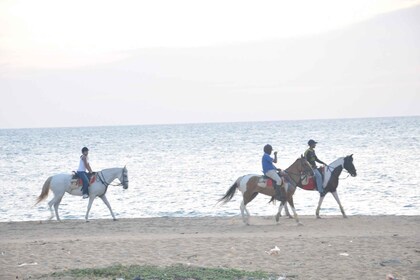 Paseo a caballo de medio día en Kalpitiya