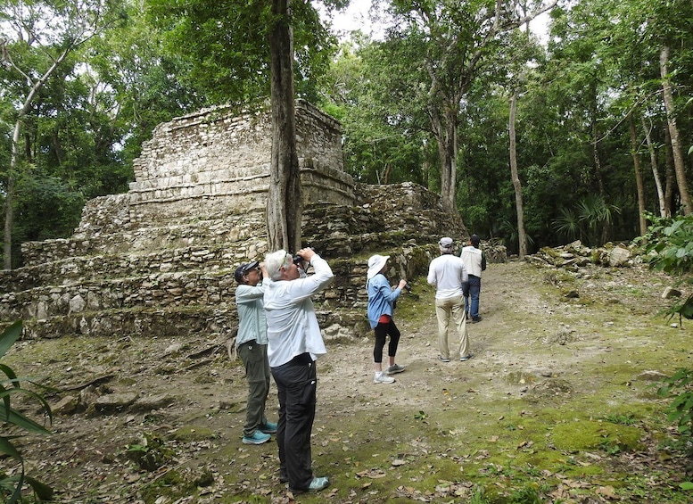 Picture 5 for Activity Tulum: Sian Ka'an Biosphere Reserve Guided Birdwatching Hike