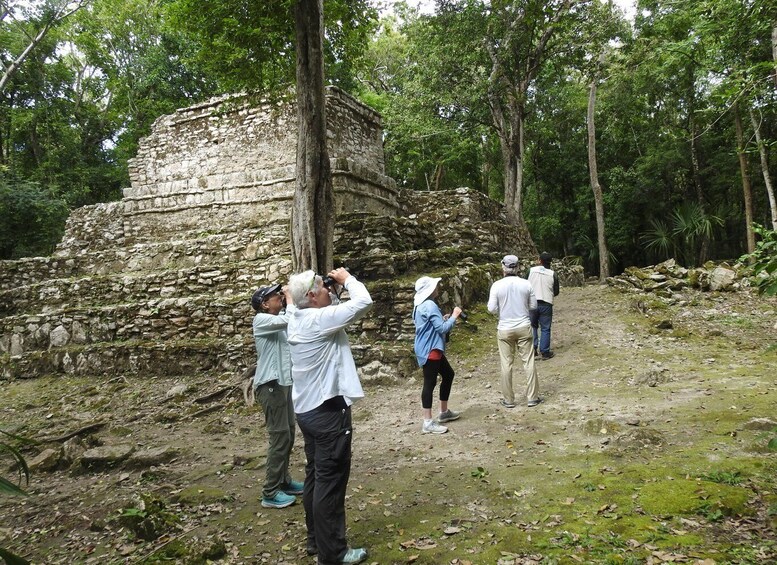 Picture 5 for Activity Tulum: Sian Ka'an Biosphere Reserve Guided Birdwatching Hike