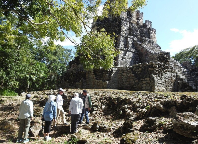 Picture 1 for Activity Tulum: Sian Ka'an Biosphere Reserve Guided Birdwatching Hike