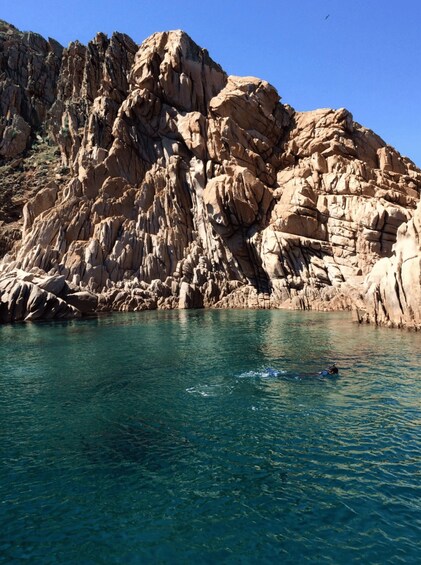 Tavolara, Snorkeling in the Marine Park