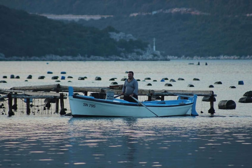 Picture 18 for Activity Wine & Oysters Tasting - Pelješac Peninsula